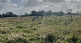 Montag – Fahren