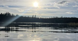 Vier Wochen – 1 Monat